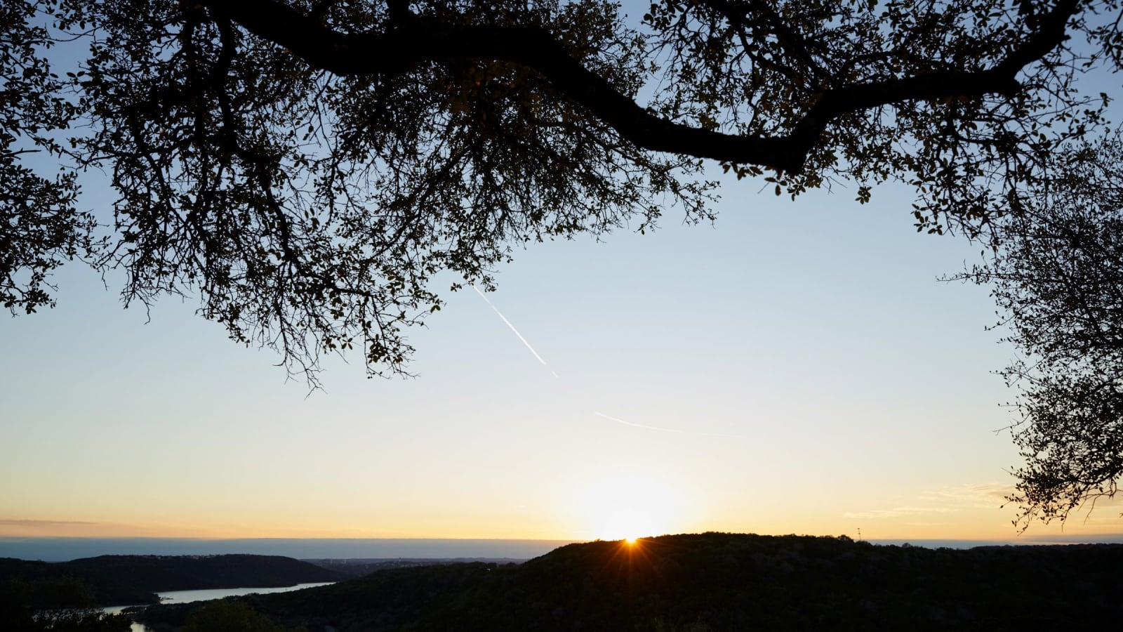 landscape view under tree
