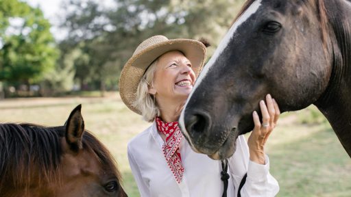 person petting horses