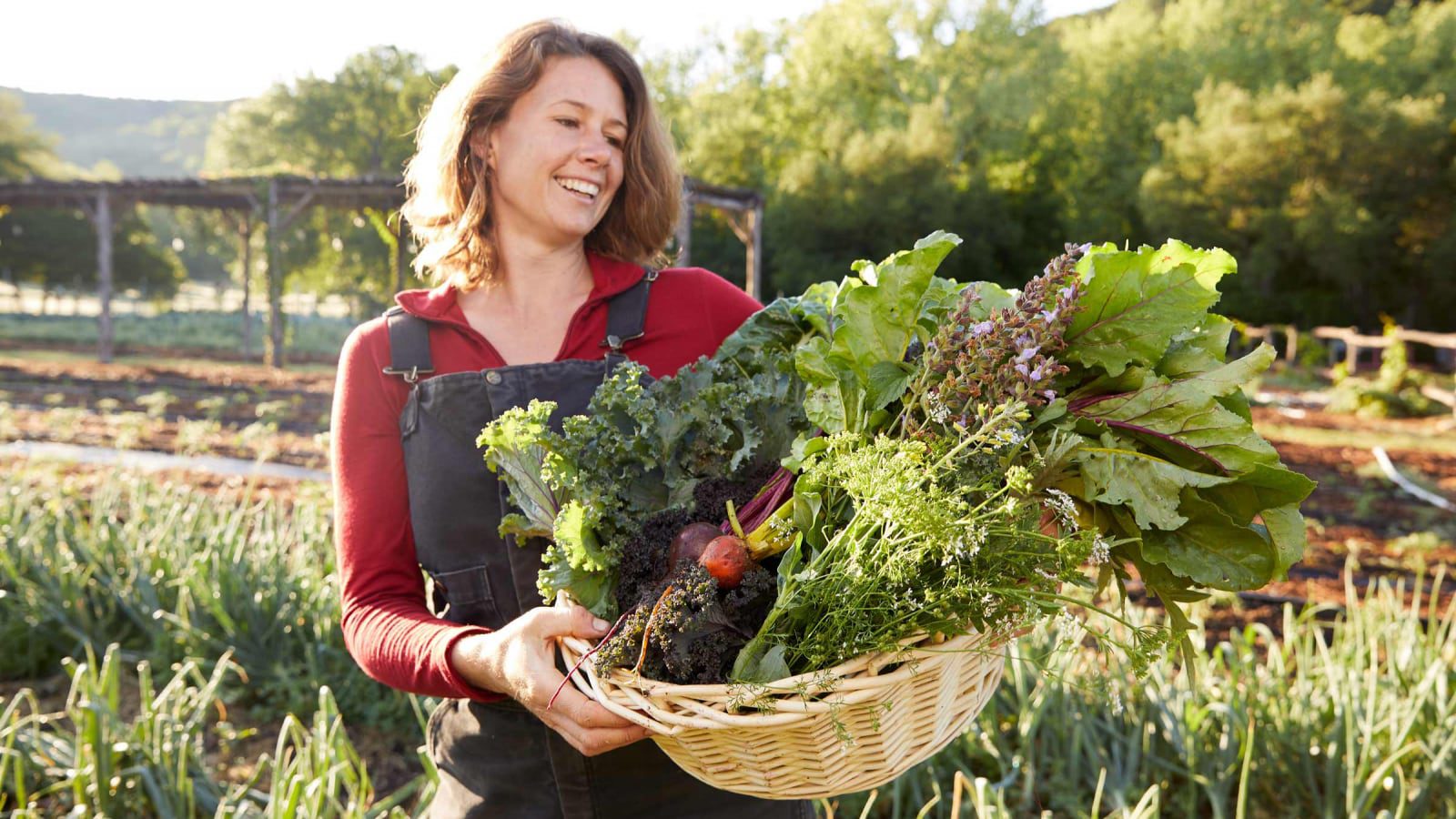 person holding basket of vegetables