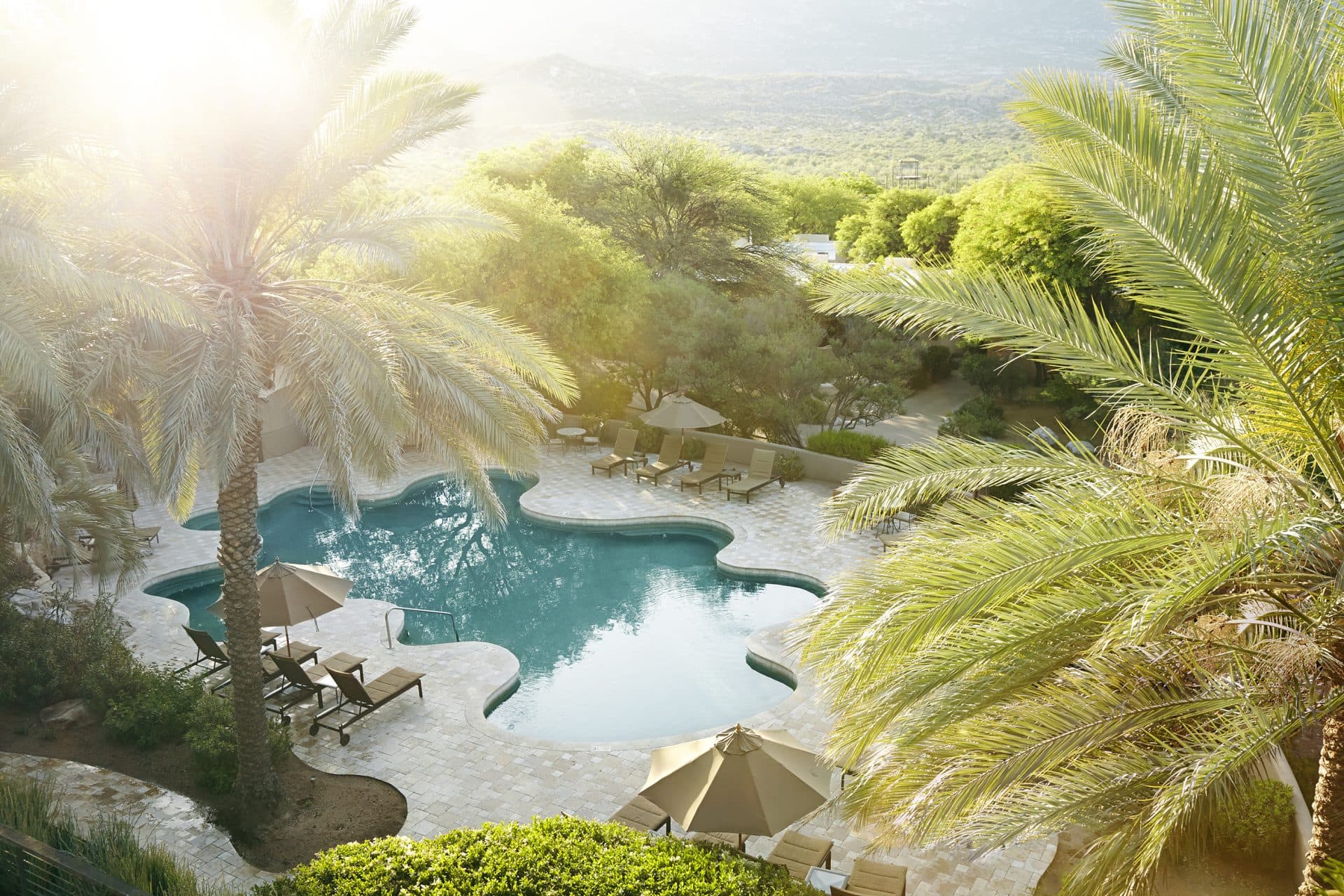 outdoor pool with loung chairs surrounded by different trees