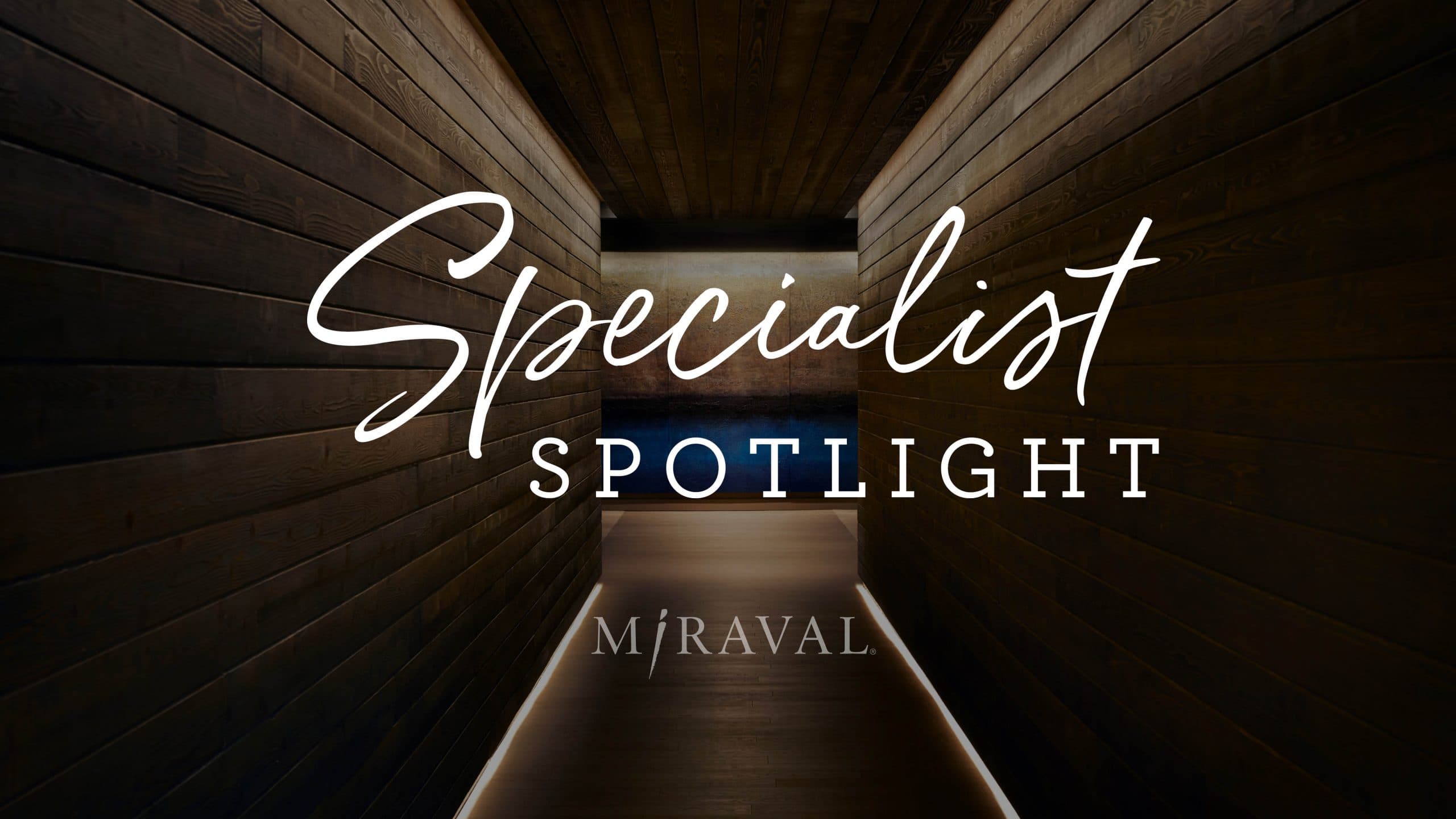 Specialist spotlight logo