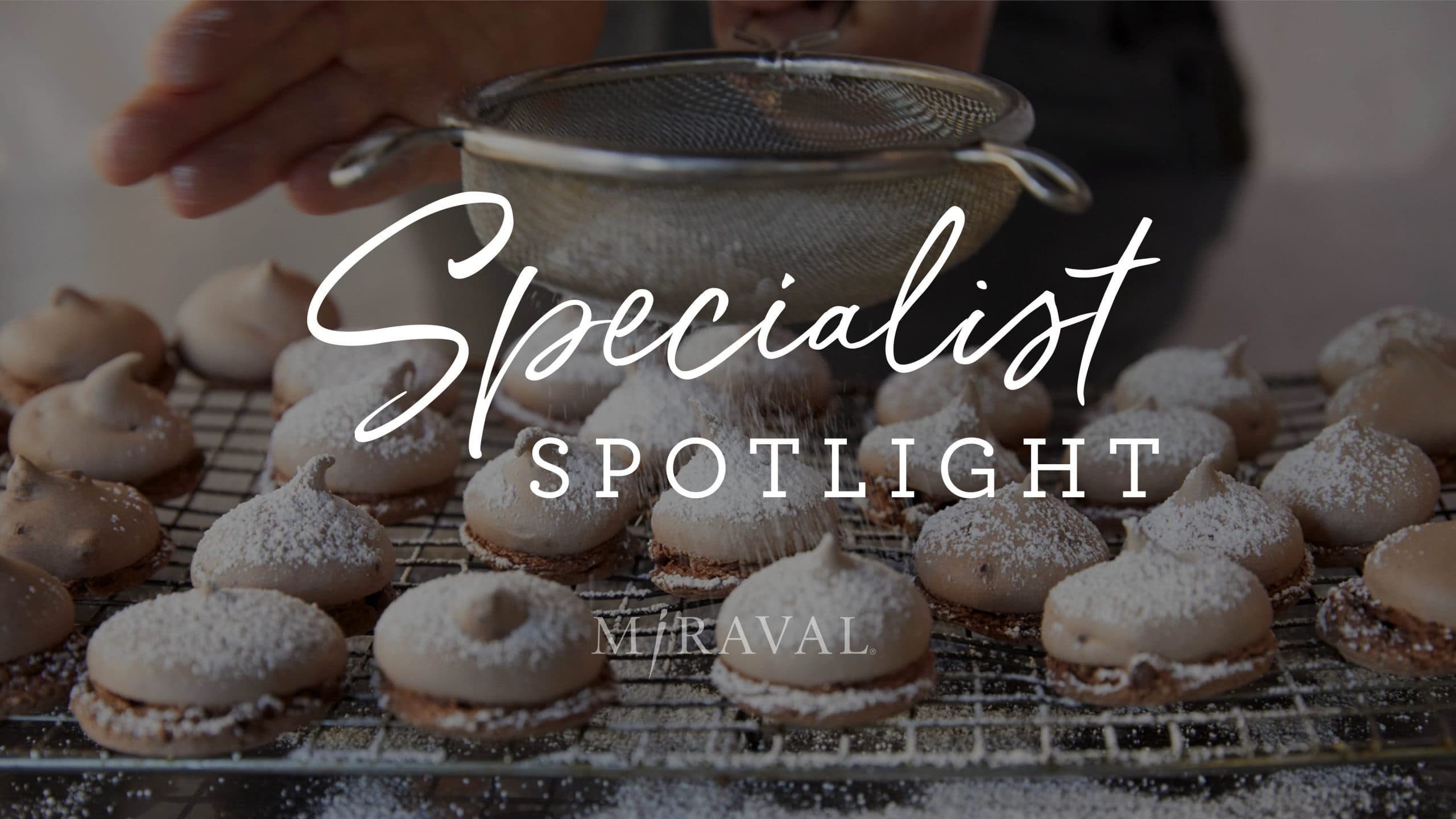 Specialist spotlight logo