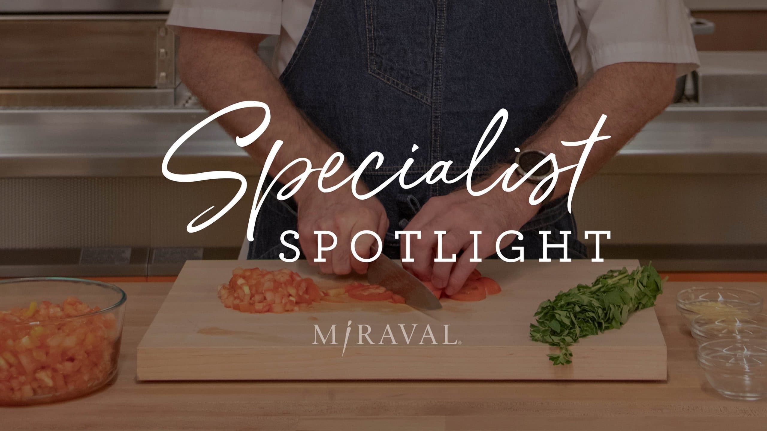 Specialist spotlight logo