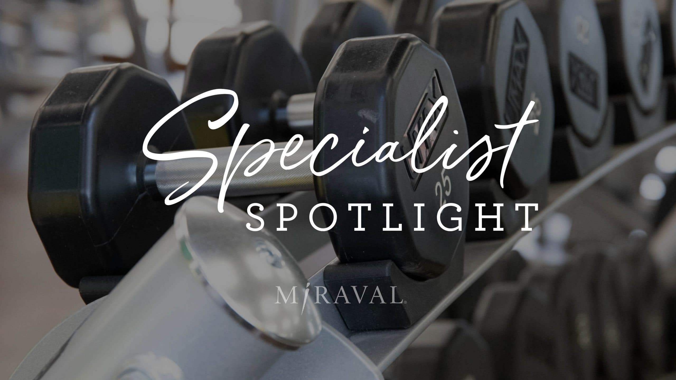 Specialist spotlight logo