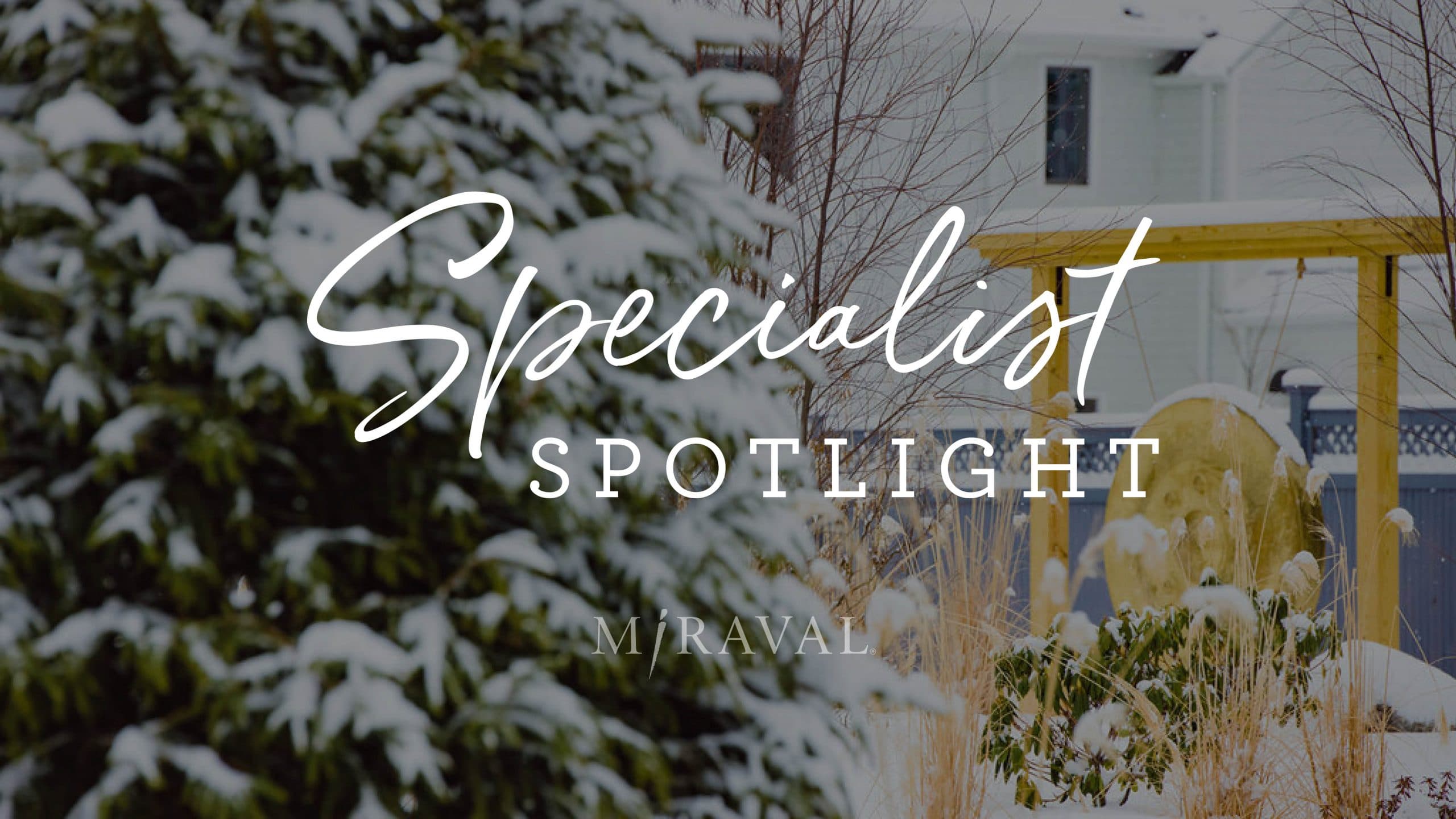 Specialist spotlight logo