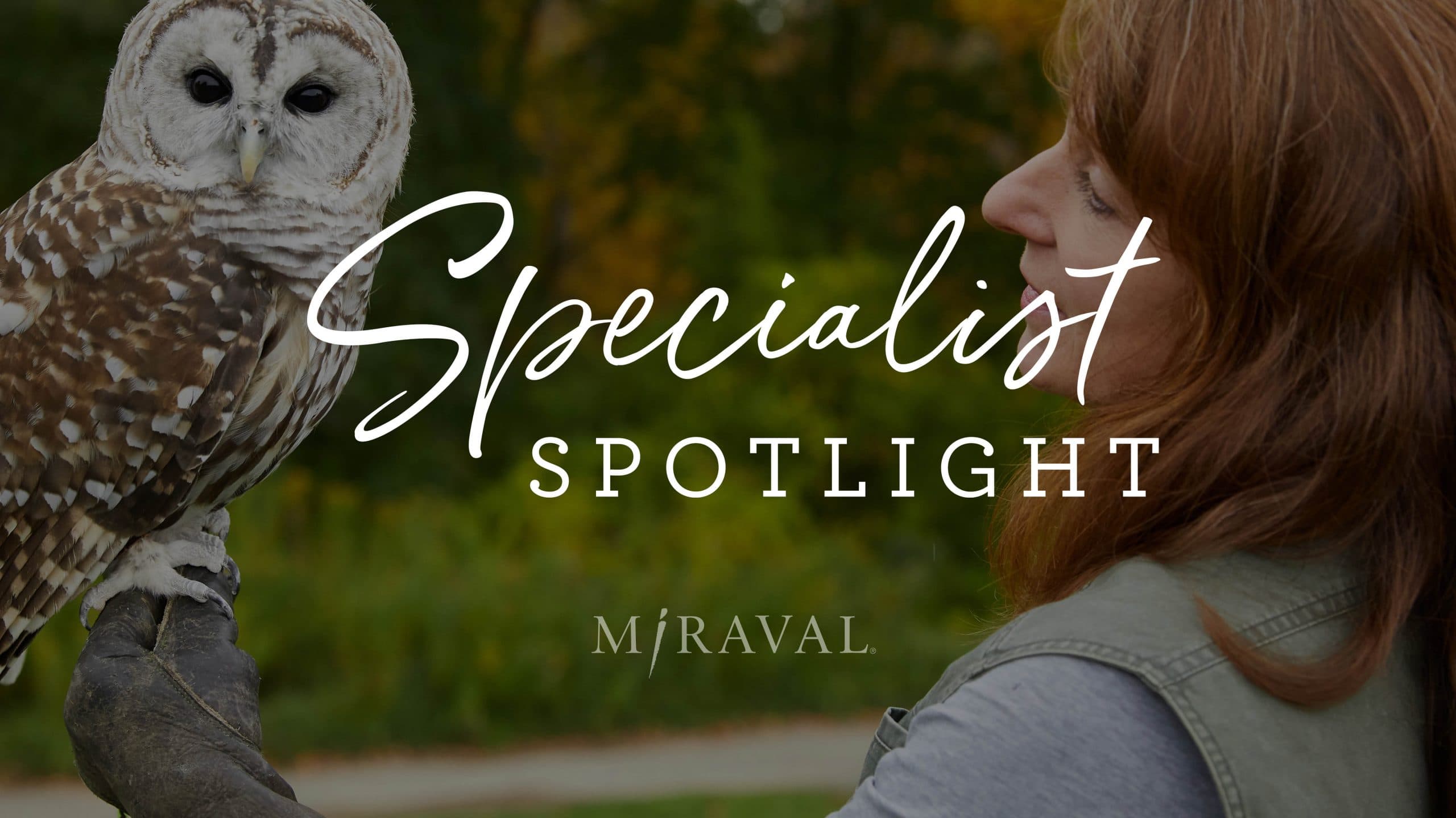 Specialist spotlight logo