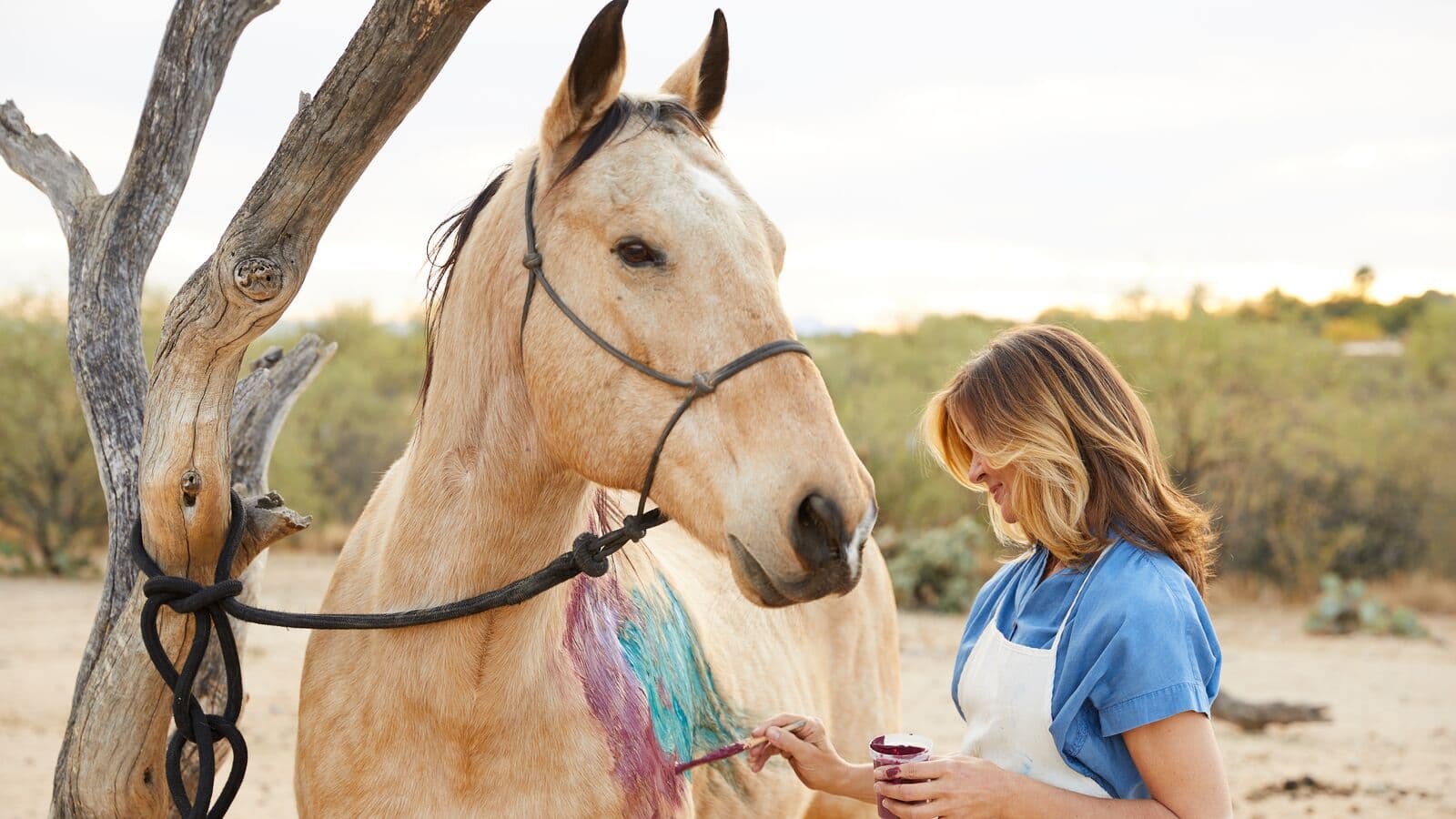 person painting on a horse