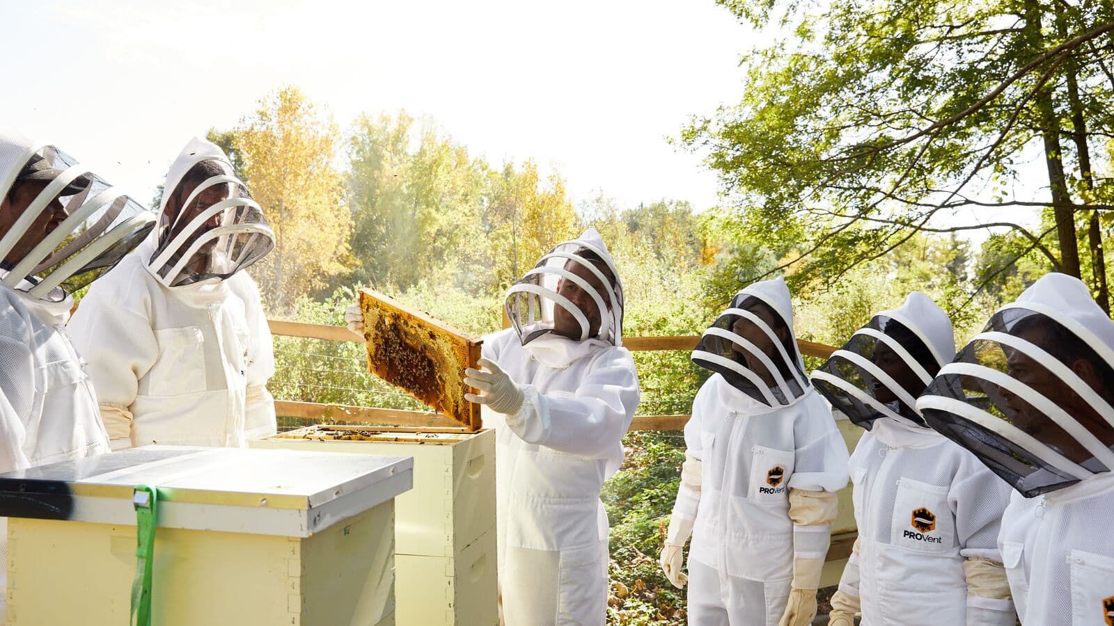 group of people around a person holding a honey comb tray