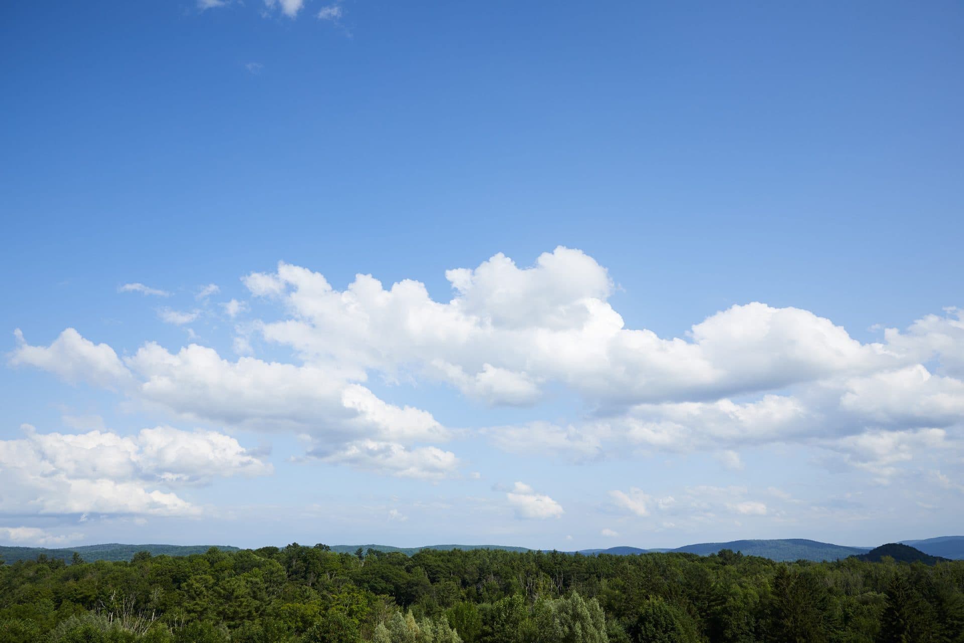 Aerial view of forrest with blue sky and clouds
