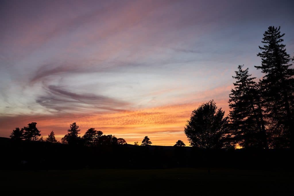 Beautiful over forrest