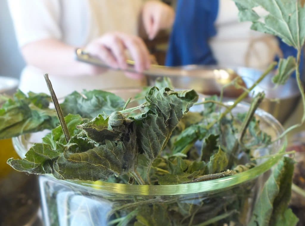 Nettle in a bowl with person holding a spoon in background